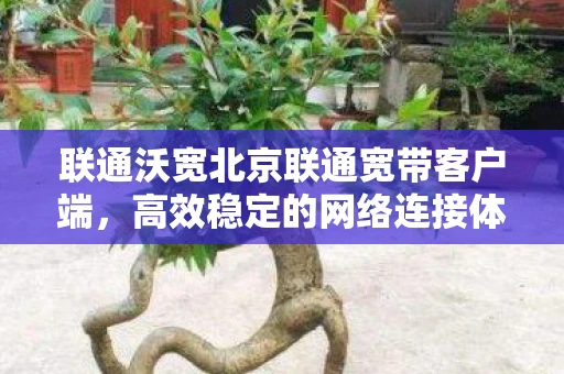 联通沃宽北京联通宽带客户端，高效稳定的网络连接体验