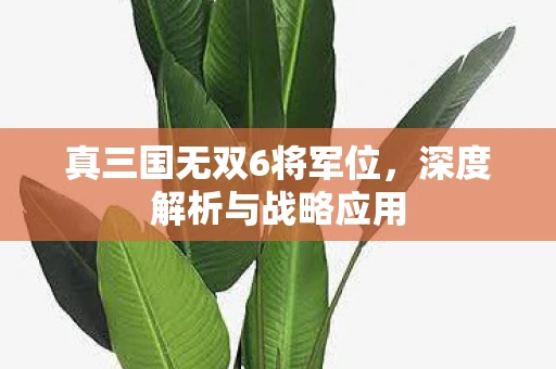 真三国无双6将军位，深度解析与战略应用