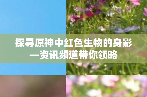 探寻原神中红色生物的身影图片