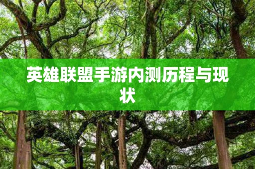 英雄联盟手游内测历程与现状