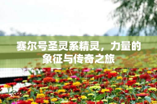 赛尔号圣灵系精灵，力量的象征与传奇之旅