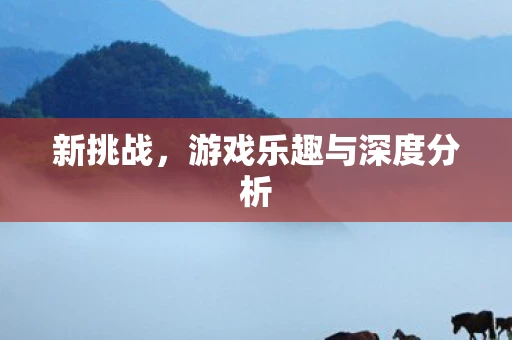 新挑战，游戏乐趣与深度分析