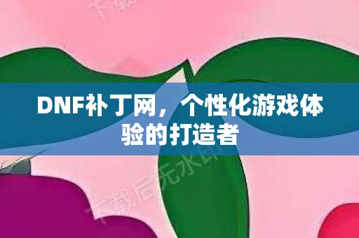 DNF补丁网，个性化游戏体验的打造者