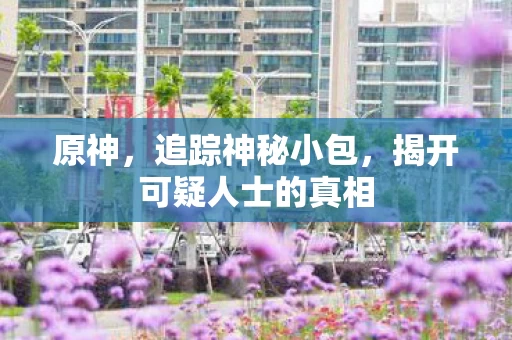 揭开可疑人士的真相图片