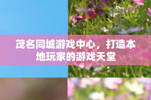 茂名同城游戏中心，打造本地玩家的游戏天堂