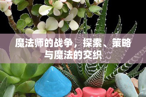 魔法师的战争，探索、策略与魔法的交织