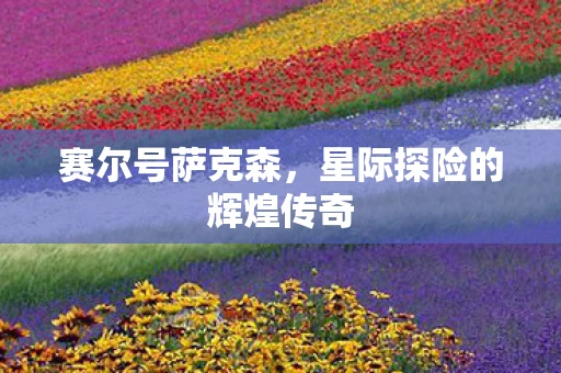 赛尔号萨克森，星际探险的辉煌传奇