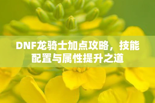 DNF龙骑士加点攻略，技能配置与属性提升之道