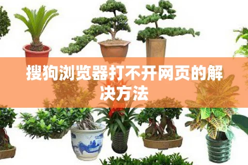 搜狗浏览器打不开网页的解决方法图片