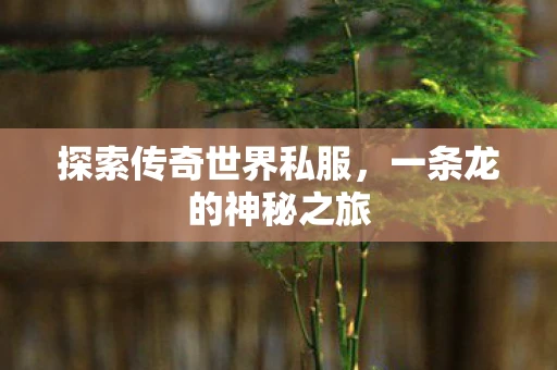 探索传奇世界私服，一条龙的神秘之旅