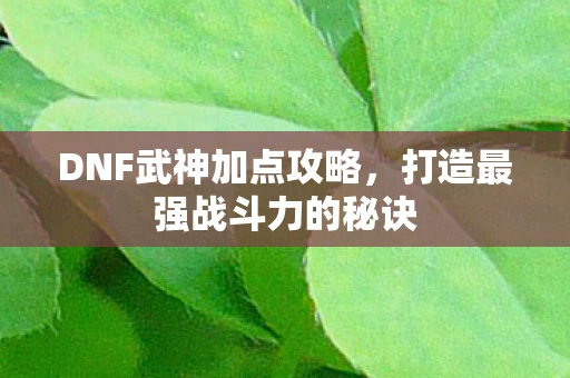 DNF武神加点攻略，打造最强战斗力的秘诀