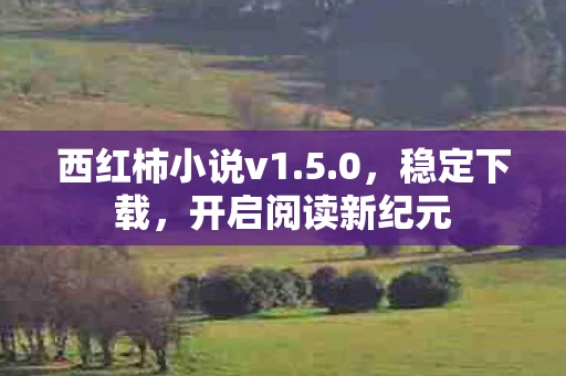 西红柿小说v1.5.0，稳定下载，开启阅读新纪元