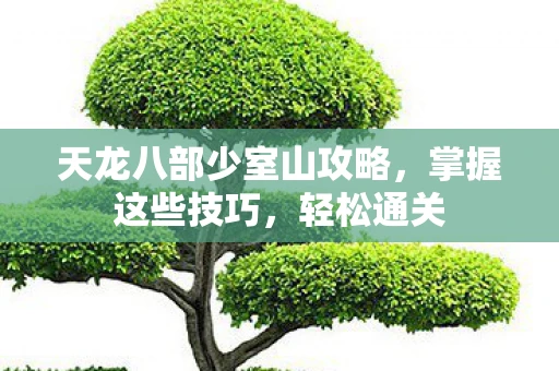 天龙八部少室山攻略，掌握这些技巧，轻松通关