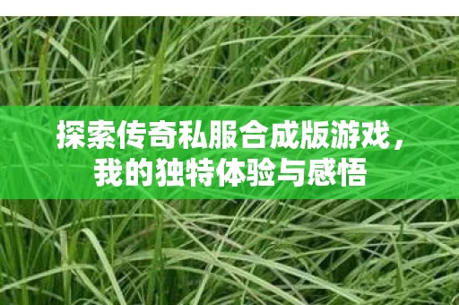 探索传奇私服合成版游戏图片
