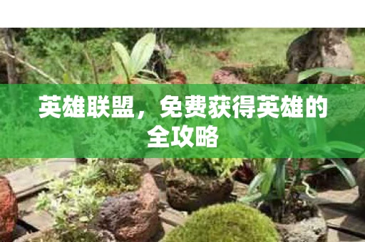 英雄联盟，免费获得英雄的全攻略