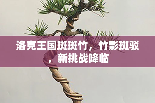 洛克王国斑斑竹，竹影斑驳，新挑战降临