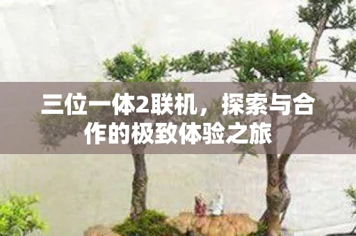 三位一体2联机，探索与合作的极致体验之旅