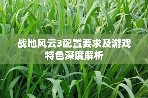 战地风云3配置要求及游戏特色深度解析