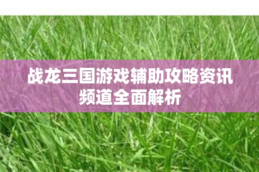 战龙三国游戏辅助攻略资讯频道全面解析