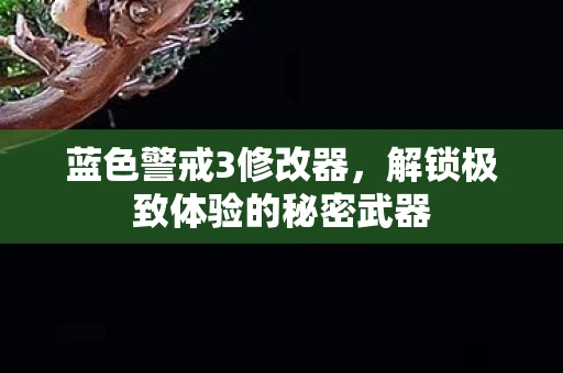 蓝色警戒3修改器，解锁极致体验的秘密武器