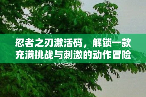 忍者之刃激活码，解锁一款充满挑战与刺激的动作冒险游戏