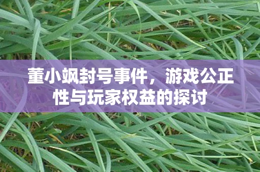 董小飒封号事件，游戏公正性与玩家权益的探讨