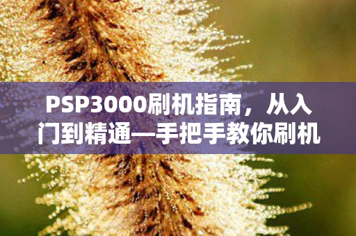 PSP3000刷机指南，从入门到精通—手把手教你刷机