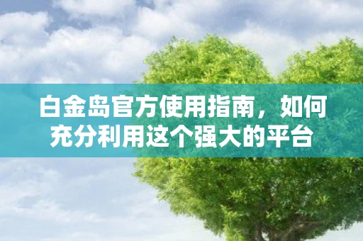 白金岛官方使用指南，如何充分利用这个强大的平台