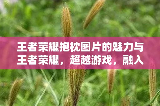 王者荣耀抱枕图片的魅力与王者荣耀，超越游戏，融入生活的艺术