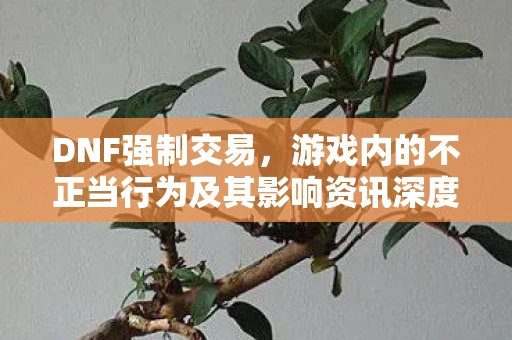 DNF强制交易，游戏内的不正当行为及其影响资讯深度解析