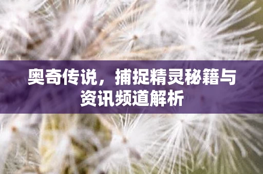 捕捉精灵秘籍与资讯频道解析图片