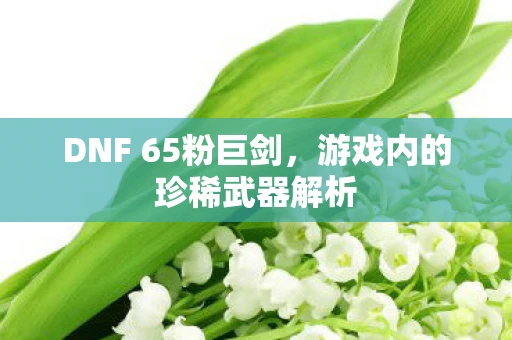 DNF 65粉巨剑，游戏内的珍稀武器解析