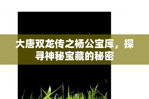 大唐双龙传之杨公宝库，探寻神秘宝藏的秘密