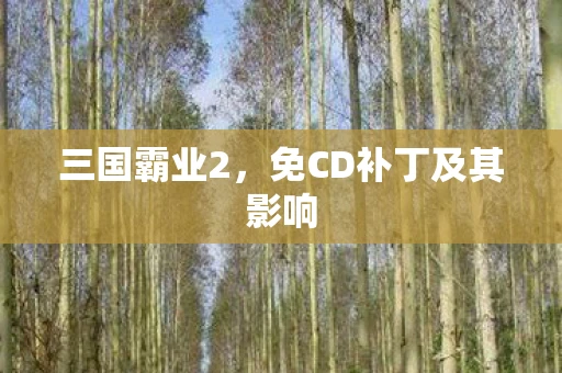 三国霸业2，免CD补丁及其影响