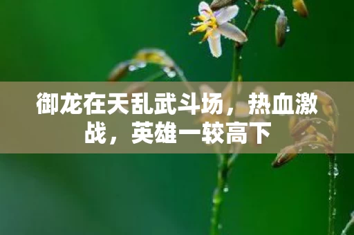 御龙在天乱武斗场图片