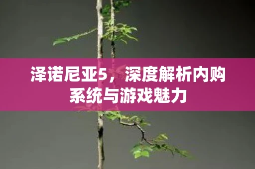 泽诺尼亚5，深度解析内购系统与游戏魅力