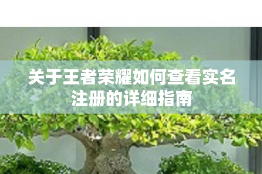 关于王者荣耀如何查看实名注册的详细指南图片