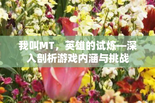 我叫MT，英雄的试炼—深入剖析游戏内涵与挑战