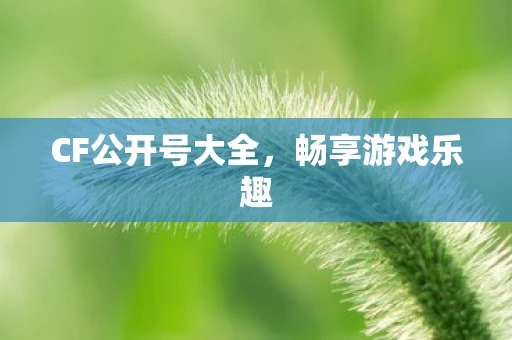 CF公开号大全，畅享游戏乐趣