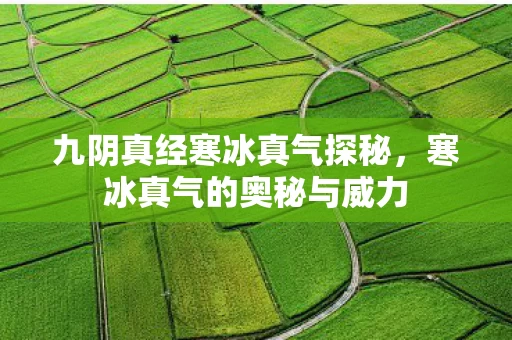 九阴真经寒冰真气探秘图片
