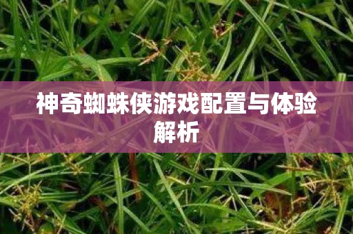 神奇蜘蛛侠游戏配置与体验解析