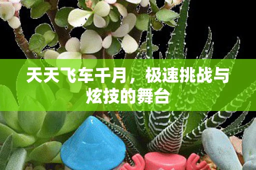 天天飞车千月，极速挑战与炫技的舞台