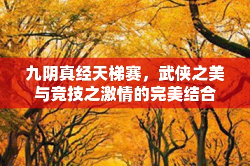 九阴真经天梯赛，武侠之美与竞技之激情的完美结合