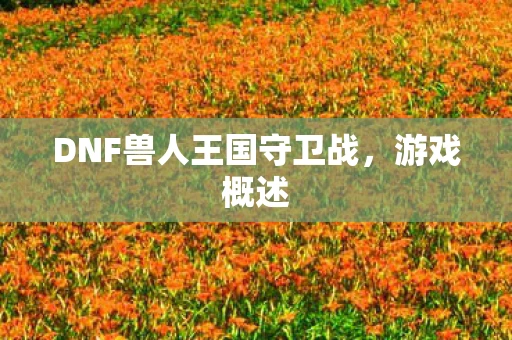 DNF兽人王国守卫战，游戏概述