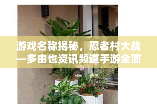 游戏名称揭秘，忍者村大战—多由也资讯频道手游全面解读