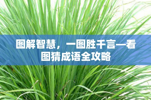 图解智慧，一图胜千言—看图猜成语全攻略