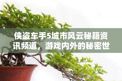 侠盗车手5城市风云秘籍资讯频道图片