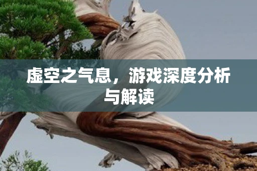 虚空之气息，游戏深度分析与解读
