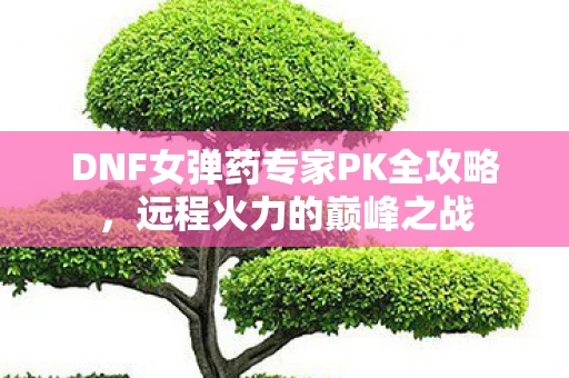 DNF女弹药专家PK全攻略，远程火力的巅峰之战