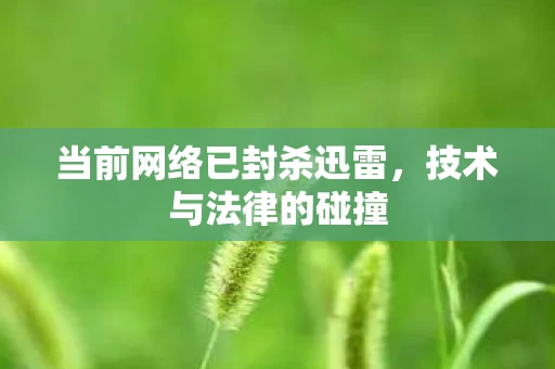 当前网络已封杀迅雷，技术与法律的碰撞